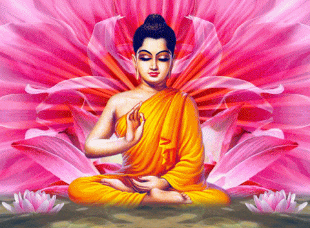 BUDDHA_PINKMOVING_LOTUS_