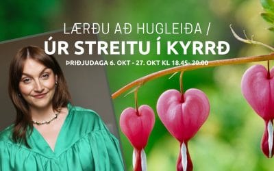 Lærðu að hugleiða / Úr streitu í kyrrð